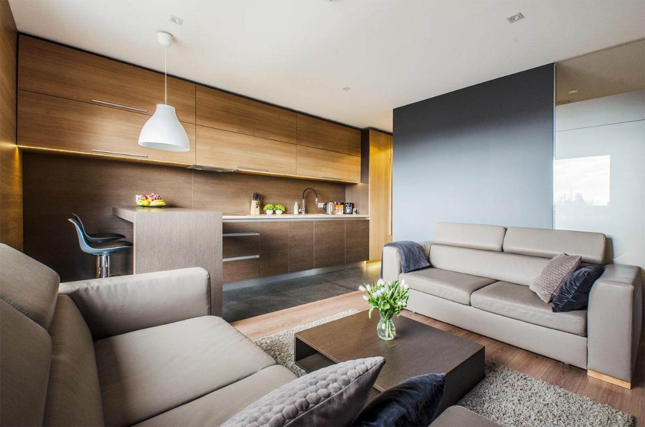 Lupoapartments Z Klimatyzacja Do Wyboru Z Jacuzzi Pole Dance Parking Dostep Na Kod Apartment *