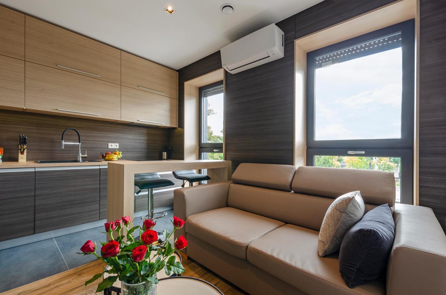 Lupoapartments Z Klimatyzacja Do Wyboru Z Jacuzzi Pole Dance Parking Dostep Na Kod Apartment *