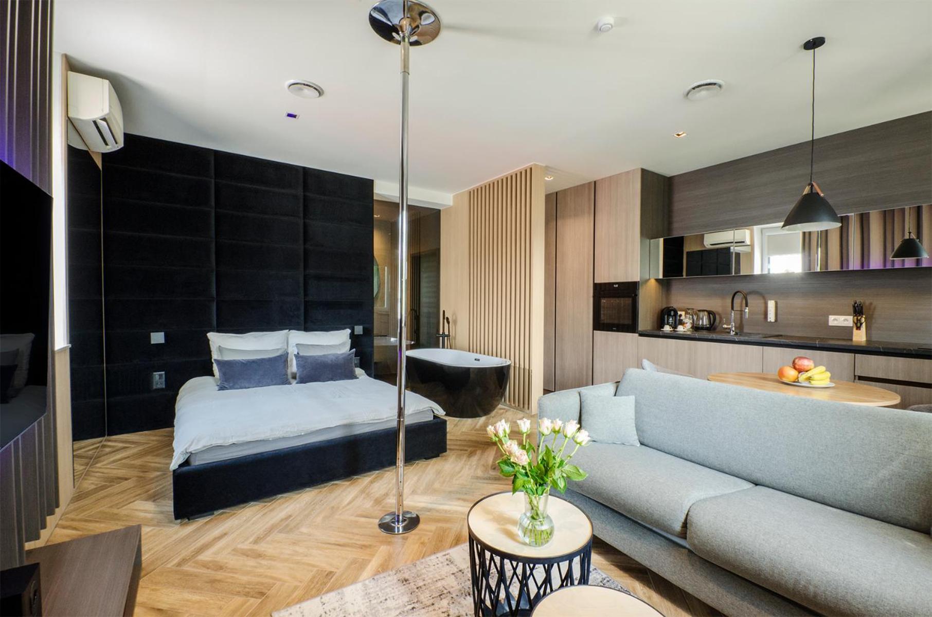 Apartment Lupoapartments Z Klimatyzacja Do Wyboru Z Jacuzzi Pole Dance Parking Dostep Na Kod Lodz (Lodz)